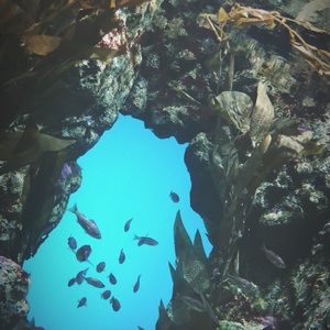 Meet your Posher, Sindi